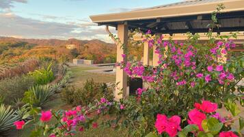 Luxury Apartment | Terrace/patio
