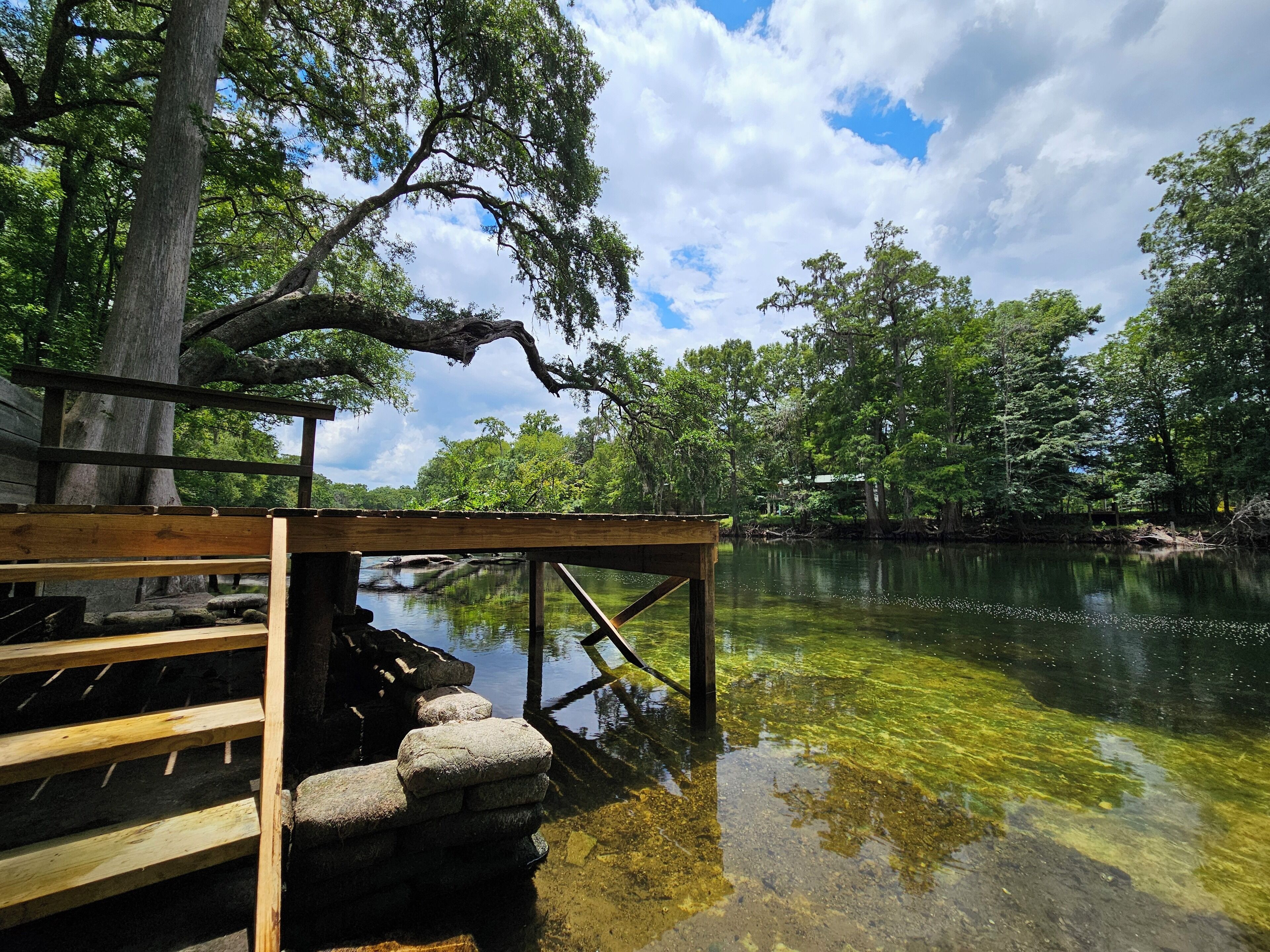 A wooden dock extending over a clear water body, surrounded by lush greenery and trees.