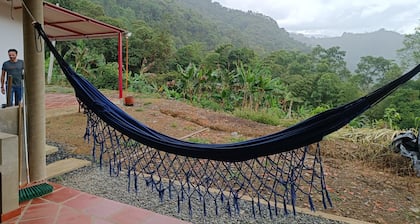 Colombian coffee paradise, waterfalls, exotic fruits, nature