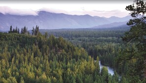 未分類的圖片，第 2 張，共 30 張，按鈕