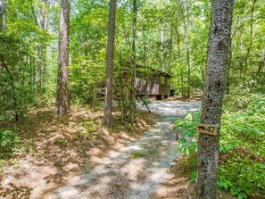 Property grounds - Bear Ridge Cabin - Pet-Friendly Rustic Cabin (Sautee Nacoochee)