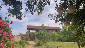 A stone house with a tiled roof, surrounded by a garden with various plants and a path leading to the entrance.