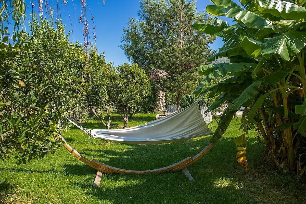 A hammock in a lush garden with various plants and trees.