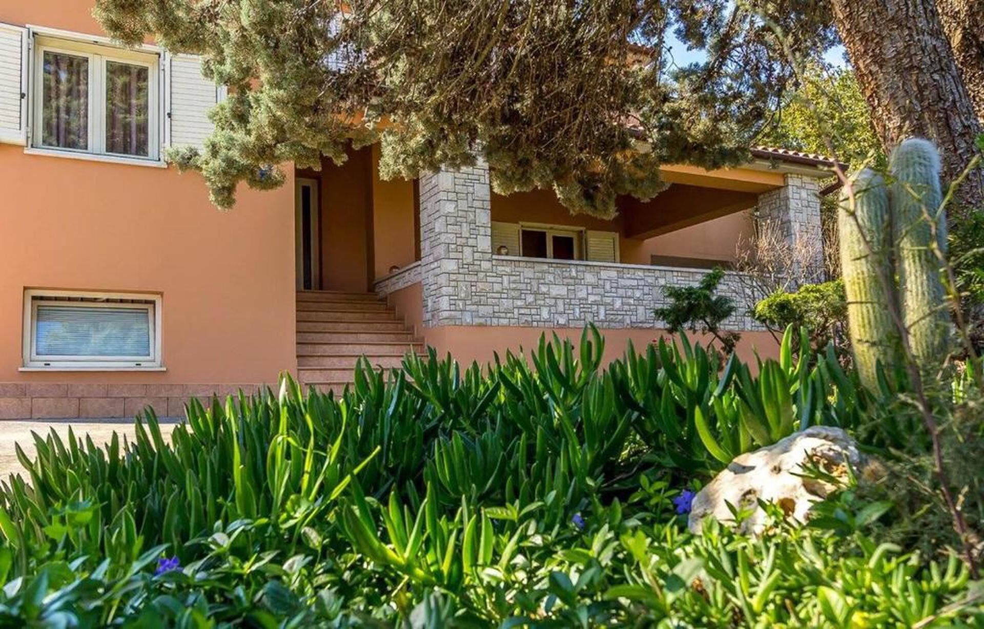 House | Property grounds