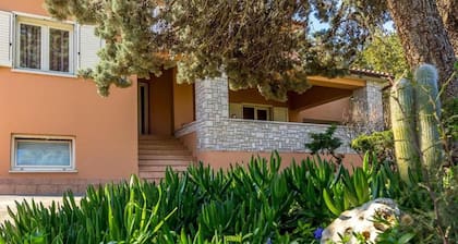 Apartment Casa Neron