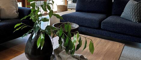 تلفزيون ذكي