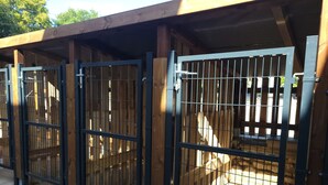 A row of wooden animal enclosures with metal gates, each with a concrete floor and a wooden bench inside.