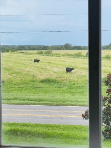 5 mins from Kissimmee and 20 mins from the parks! 