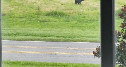 5 mins from Kissimmee and 20 mins from the parks!