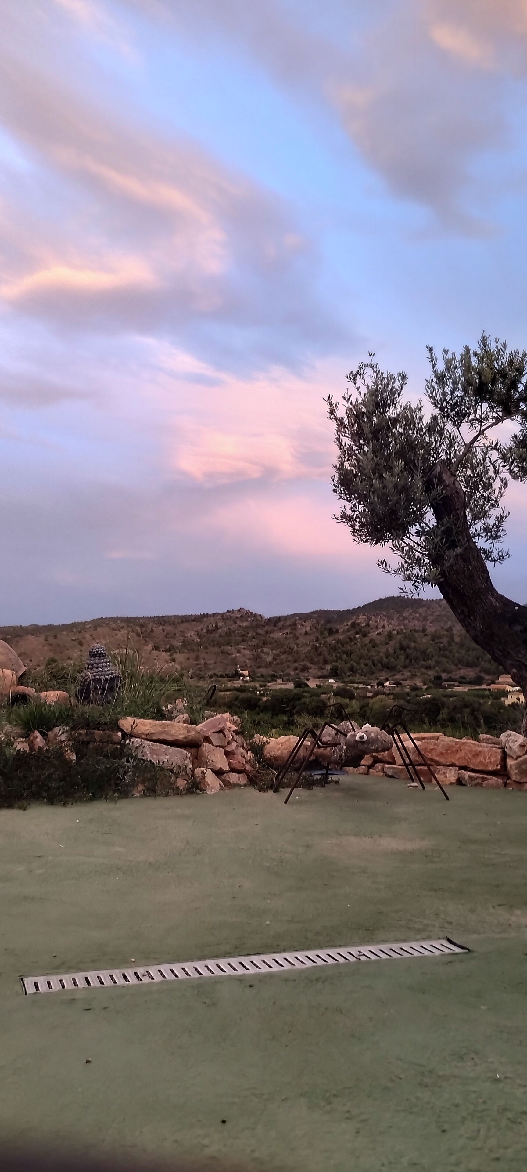 Paisaje natural con un árbol, rocas y un desagüe.