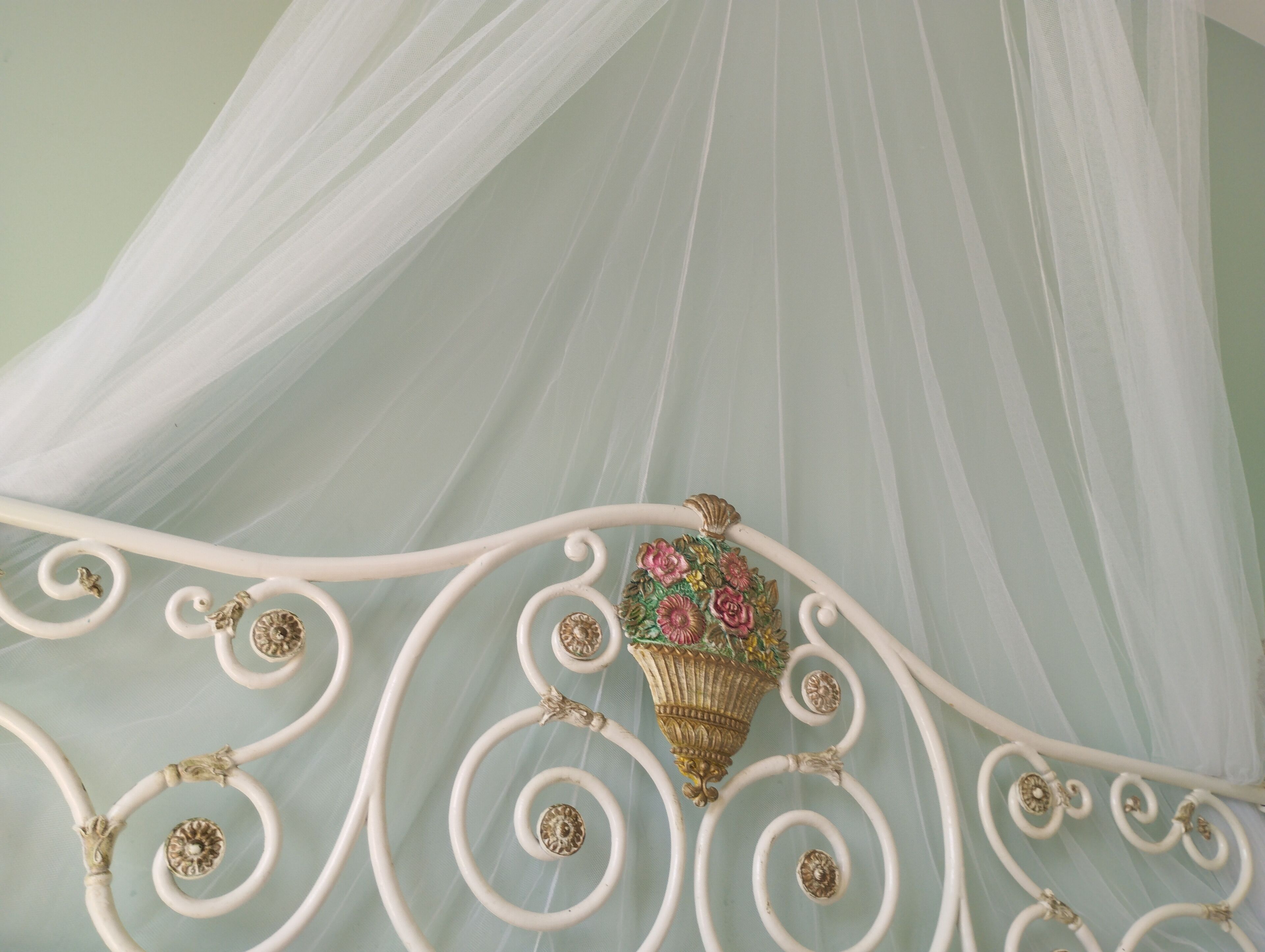A bed with a white metal frame and a canopy.