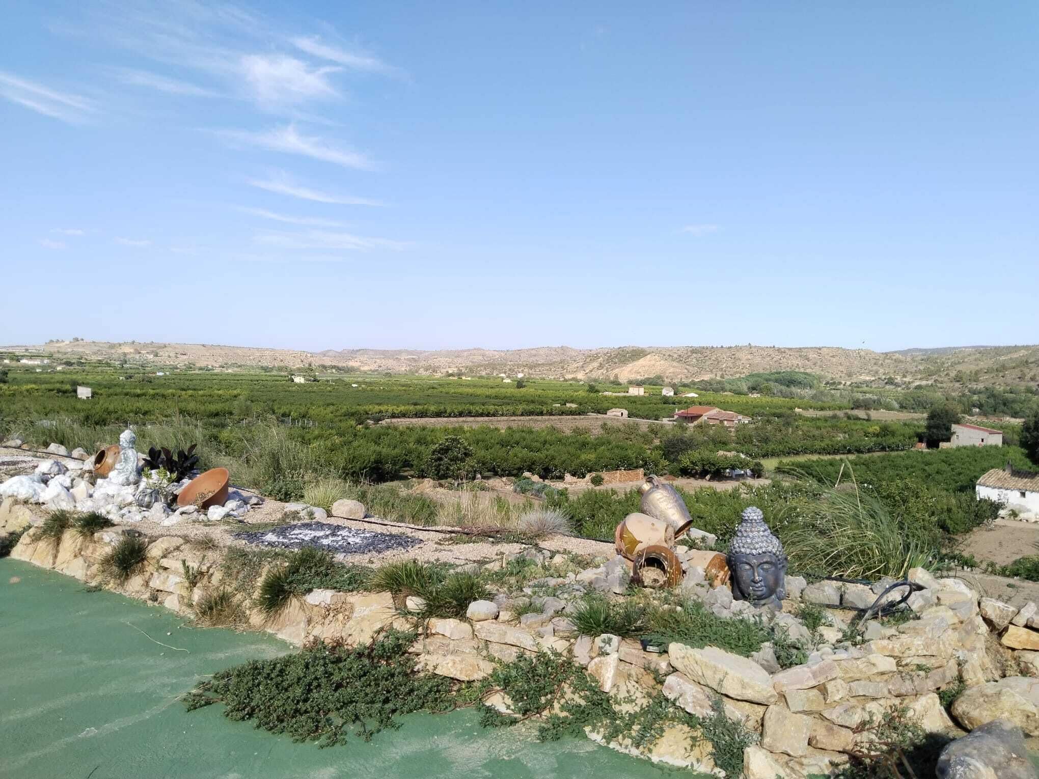 Paisaje rural con un muro de piedra, una estatua de Buda y un viñedo al fondo.