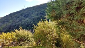 Un paisaje montañoso con un bosque denso y una turbina eólica al fondo.