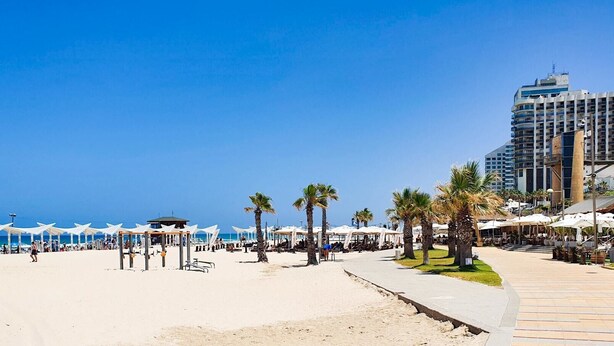 A beach with white umbrellas, palm trees, and a tall building in the background. - Ramat Yam Marine - Two Bedroom Apartment, Sleeps 4 (Tel Aviv-Yafo)