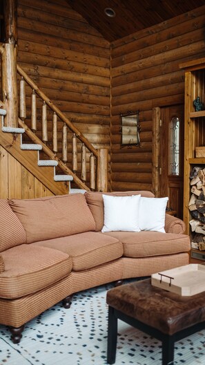 Smart TV, chimenea y libros