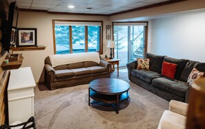 Smart TV, fireplace, books