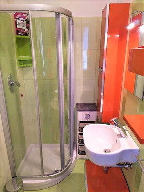 Shower, bidet, towels, soap