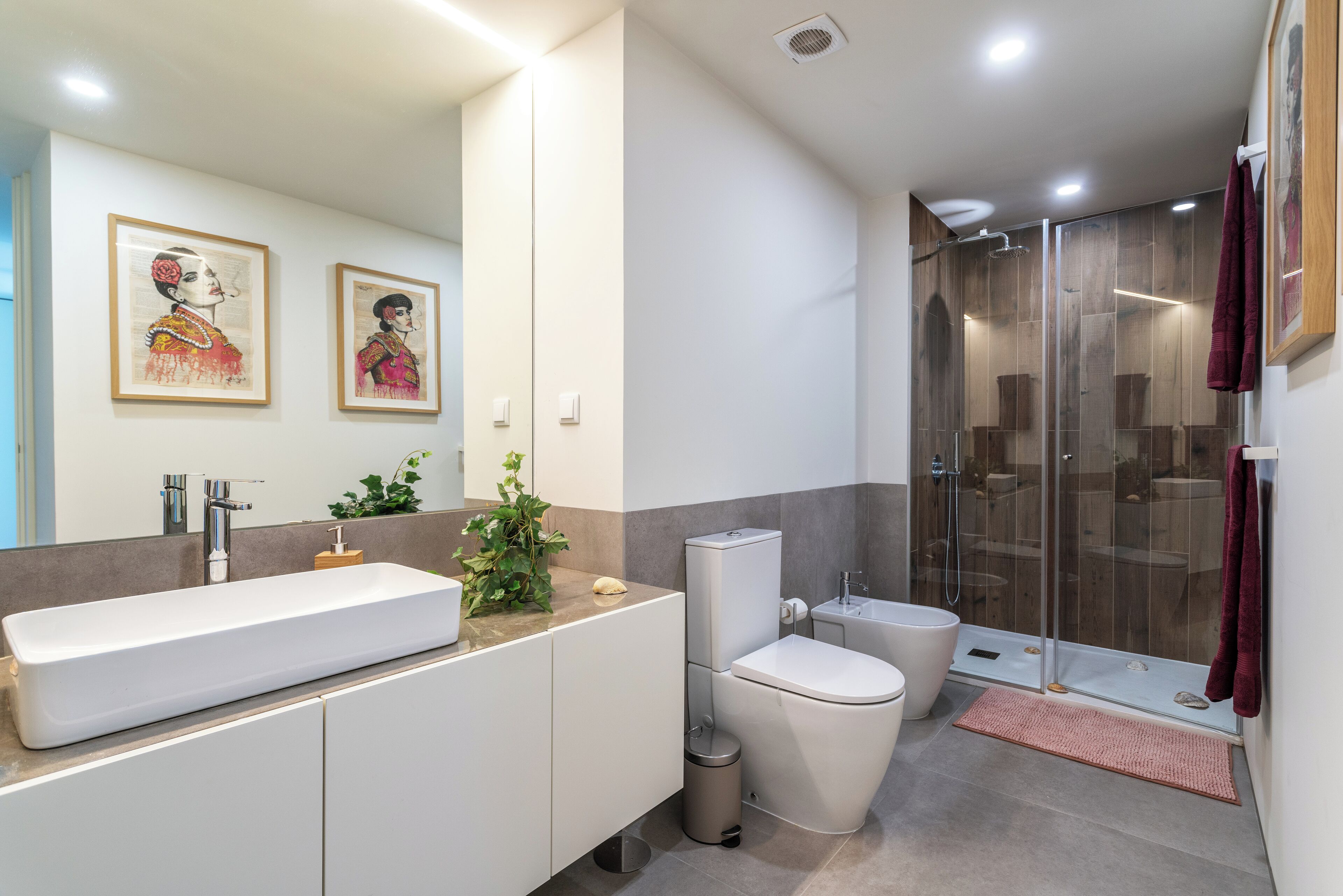 Regadera, secadora de cabello, bidet, toallas 