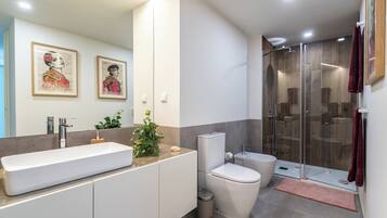 Shower, hair dryer, bidet, towels
