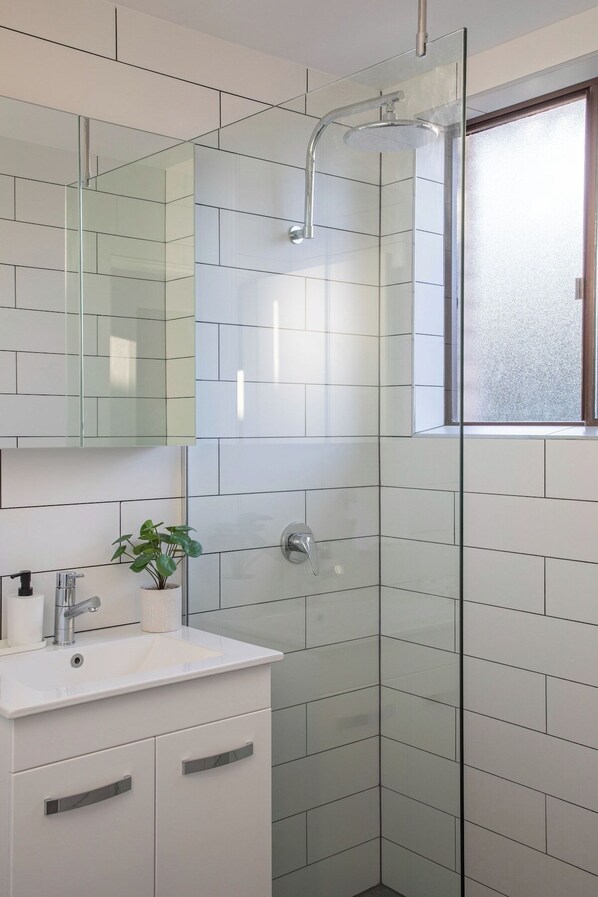 A modern bathroom with a glass shower enclosure, a white sink with a mirror above it, and a potted plant on the counter.