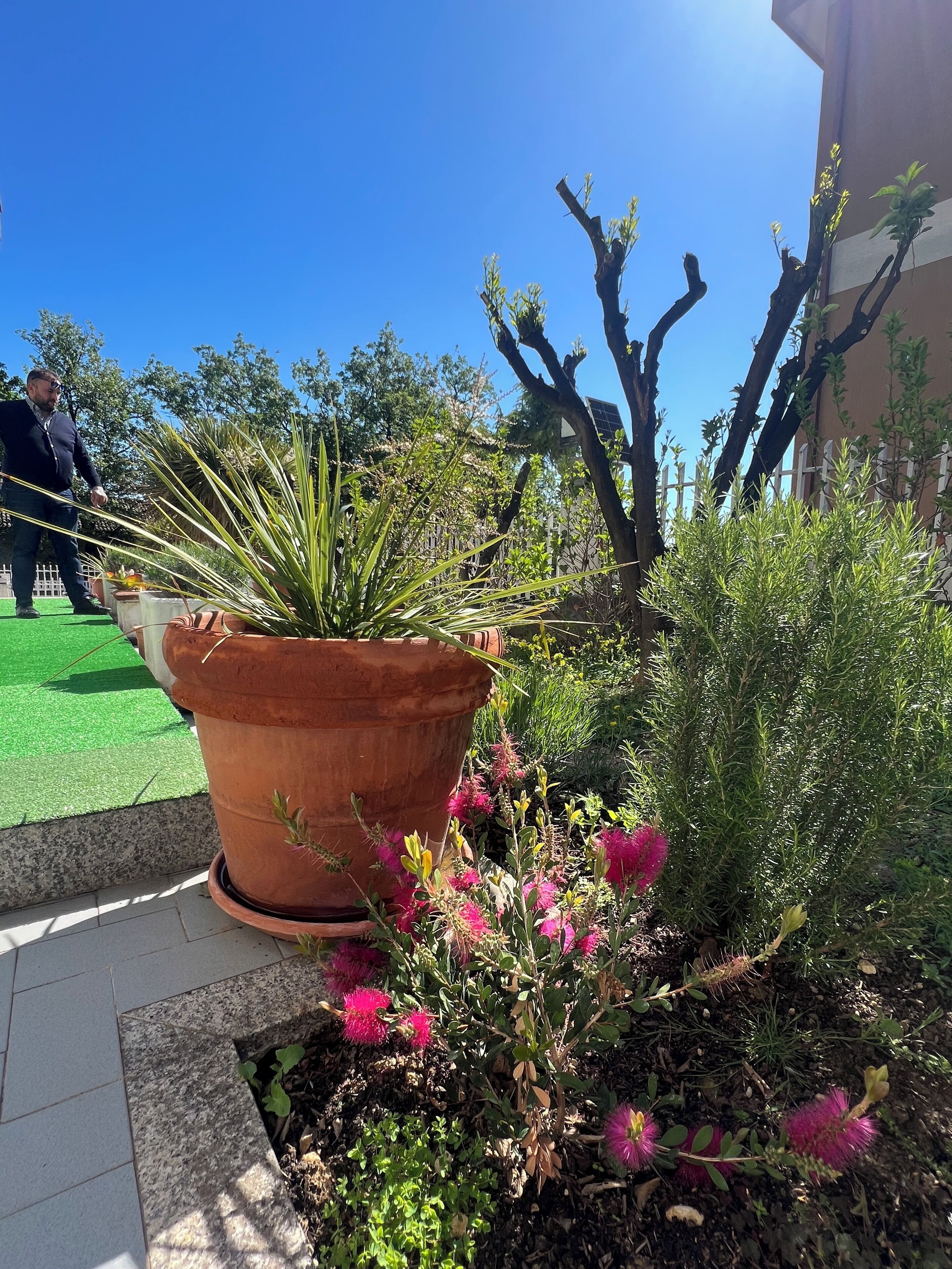 Foto - Villa Pescara