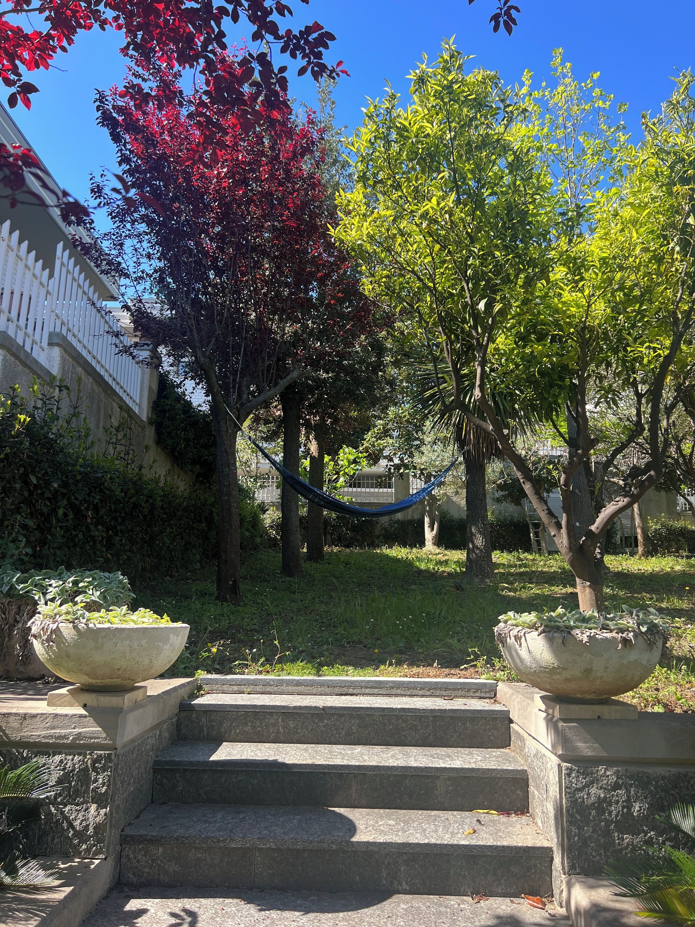 Foto - Villa Pescara
