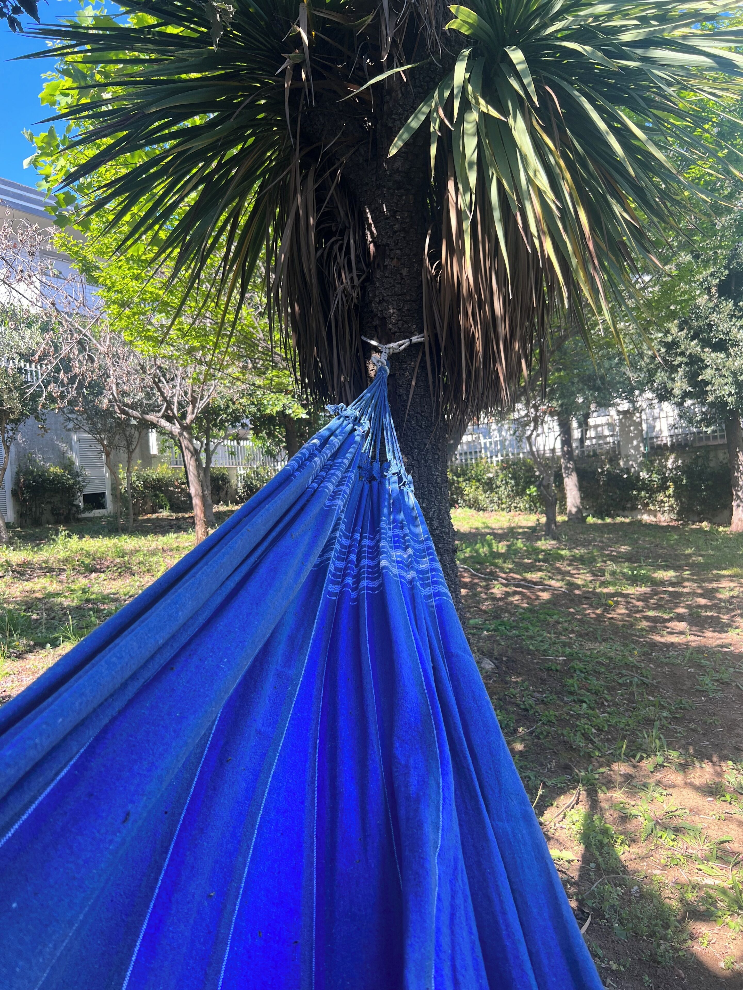 Foto - Villa Pescara