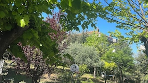 A playground with a slide and climbing structure, surrounded by trees and a stone wall. - VILLA PESCARA (Pescara)