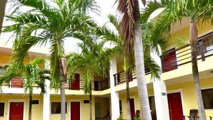 Un patio con palmeras, un sendero de baldosas y un edificio con balcones y puertas rojas.