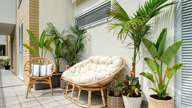 A wicker chair with a cushion, a potted plant, and a window on a balcony. - Costa do Sol, a Home in Madeira (Funchal)