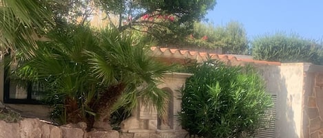 A courtyard with stone paving, a stone bench, and greenery including a palm tree and bushes.