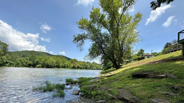 A riverside view with a large tree, grassy banks, and a house in the background. - Gound level and private home with river front access. (Ronceverte)