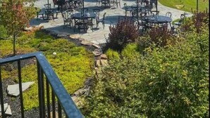 Winery - Wine Valley Bungalow (Ashtabula)