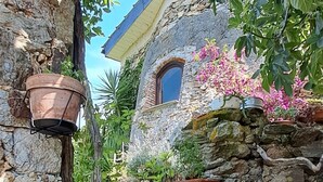A stone wall with potted plants and a small window.