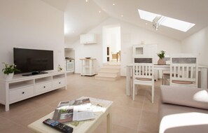 TV, fireplace