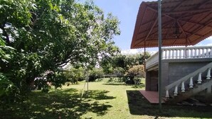 A grassy outdoor area with a staircase and a covered structure.