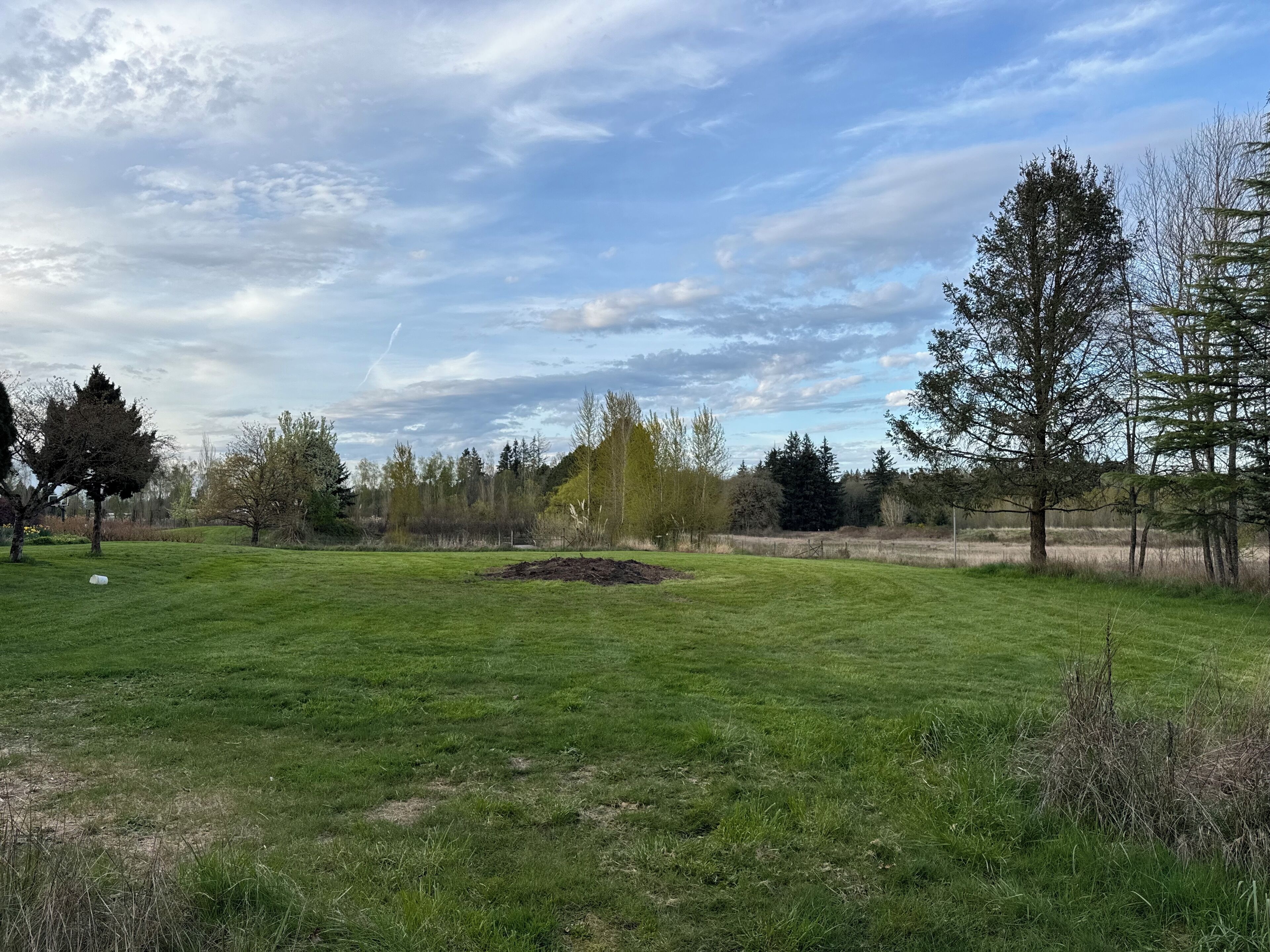 A grassy field with trees and a cloudy sky.