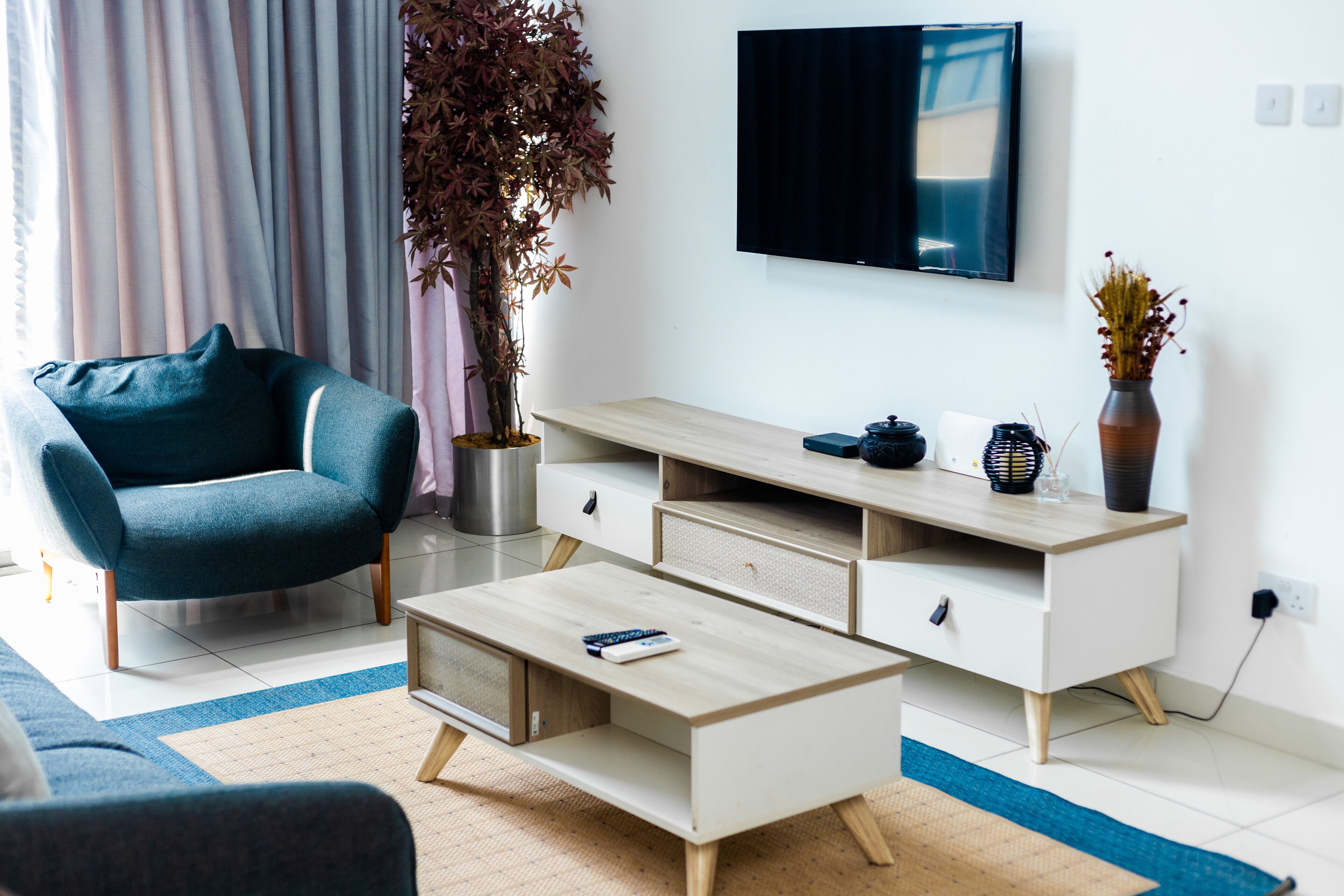 A modern living room with a sofa, coffee table, TV, and a plant.