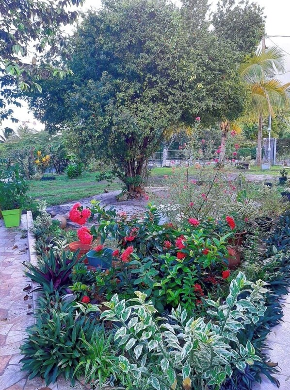 Terrein van de accommodatie