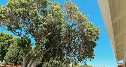 Hidden gem in Silicon Valley.