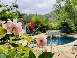 Une piscine entourée d’une végétation luxuriante et agrémentée d’un parasol rouge.