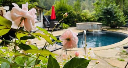 Reflections; Main house & 3 Cottages w/Baths + Hot Tub, Pool & Pet Friendly