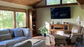 Smart TV, fireplace, books