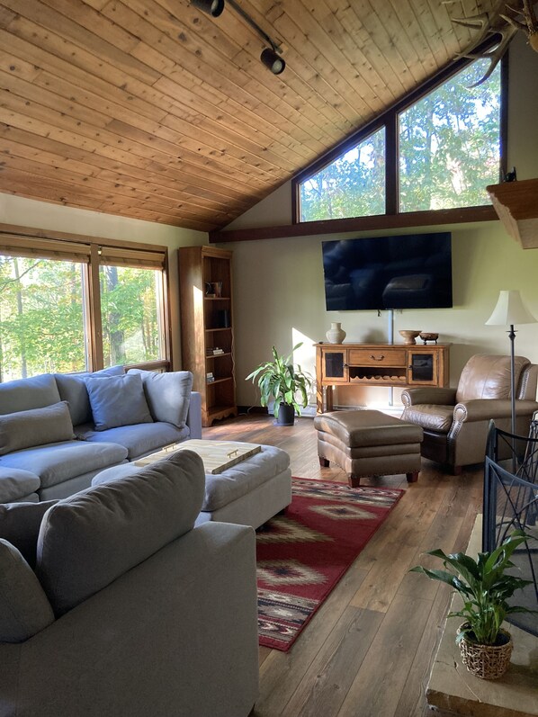 Smart TV, fireplace, books