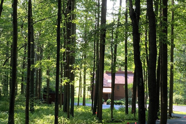 Àrea exterior de l'allotjament