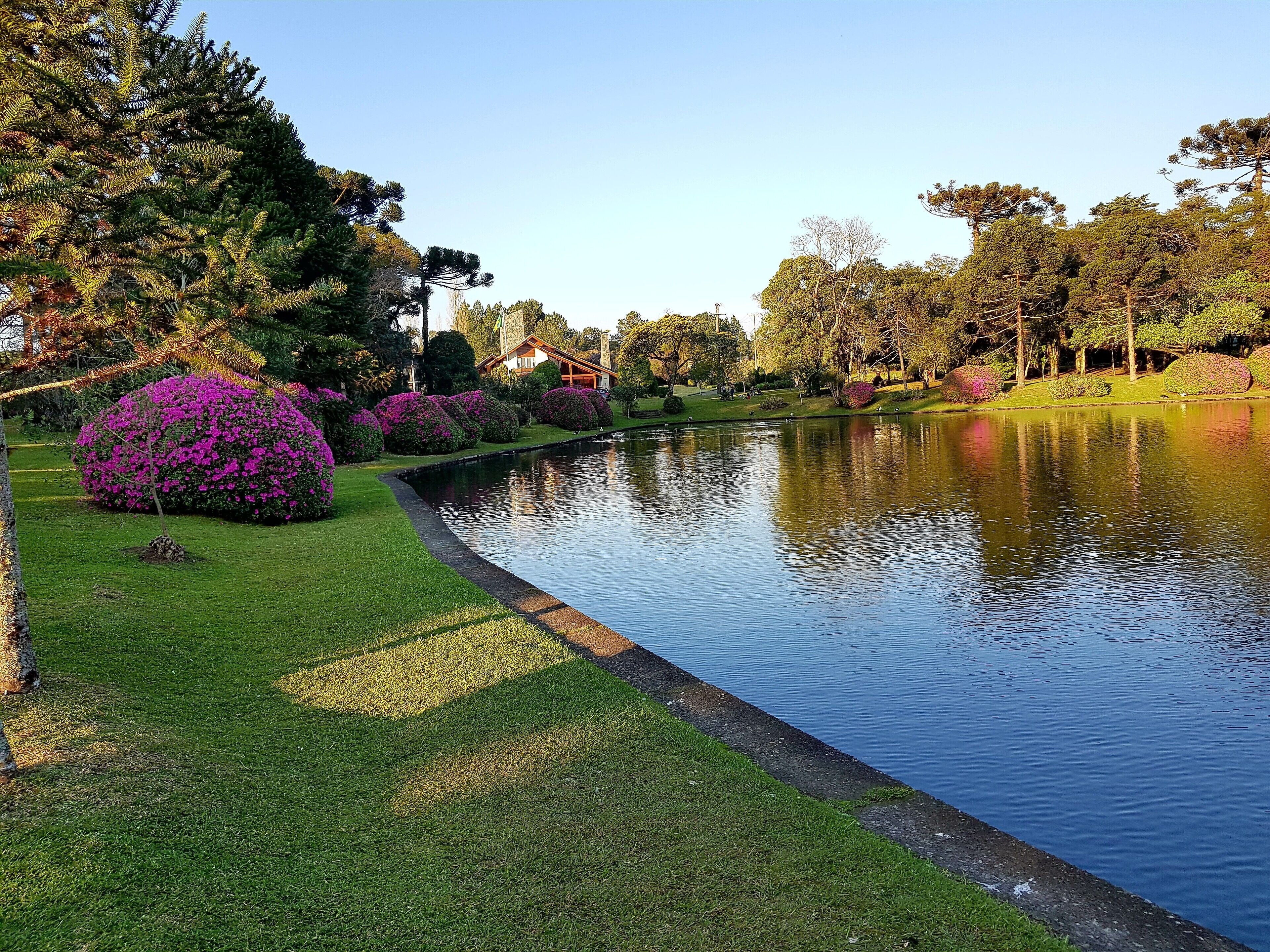 Área da propriedade