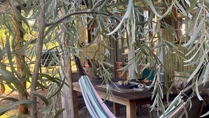A hammock tied between trees in a garden area with a wooden table and chairs, surrounded by foliage. - Little House in the Nursery (Wallabadah)