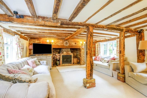 Smart TV, chimenea, reproductor de DVD, libros