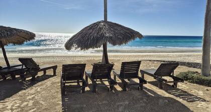 Groundfloor close to the beach