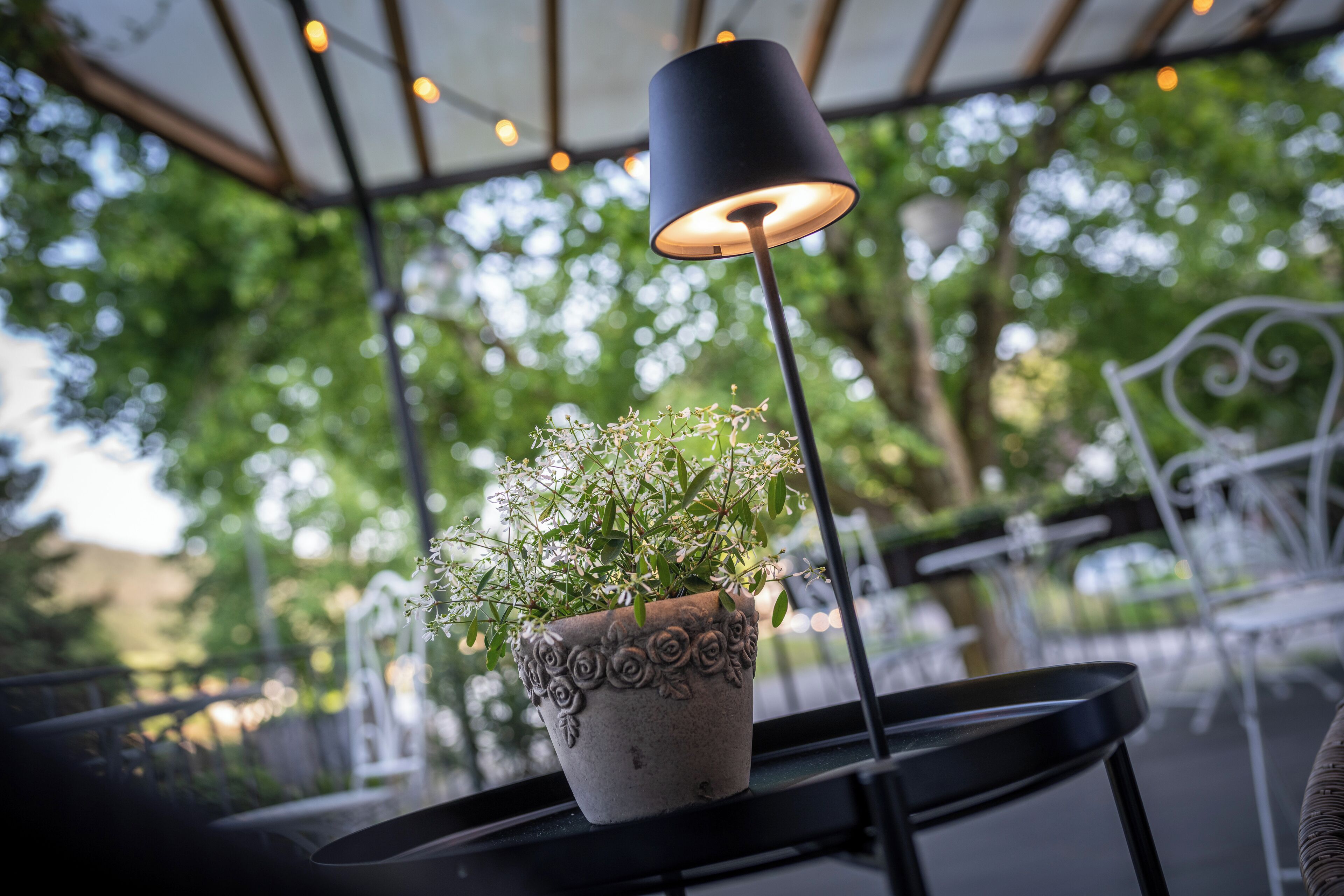 A potted plant on a table with a lamp, set in an outdoor seating area with chairs and a canopy.
